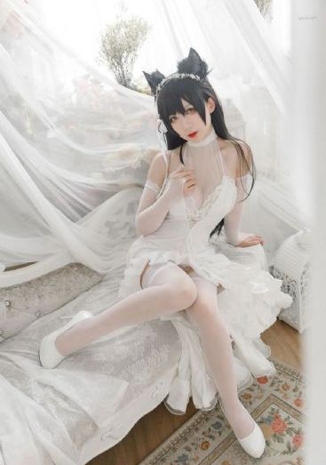 91视频综合网